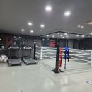 L 복싱 GYM 이미지