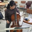 첼로 - 안양시 동안구 갈산로44번길 72 | 첼로