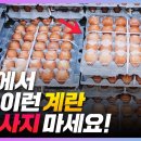 마트에서 이런 달걀 제발 사지 마세요! 계란의 모든것 보관법, 좋은 계란 고르는 방법 이미지