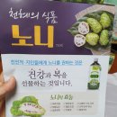 노니쥬스 월드통상 100% 노니원액 노니주스 먹기편해요