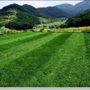 레인보우힐스CC(대중제) 이미지