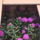 창의샘어린이집 이미지