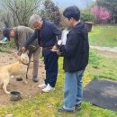 옥과동물병원 이미지