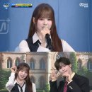 데일리엠카 이미지