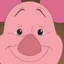 살롱드 207 이미지