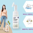 해피모꼬지 이미지