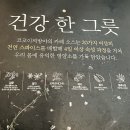 코코이찌방야합정역메세나폴리스점