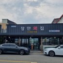 장안보건진료소 | 강릉 또간집 1등 -장안횟집 │가자미물회· 우럭미역국 내돈내산 솔직후기