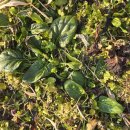 생명예찬2 이미지