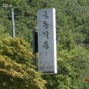 금동백숙 이미지