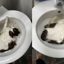 존재의 사랑 이미지