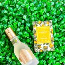 칠성과일 | #. 롯데칠성에서 이런 제품이? 오드칠성 살롱 드 느바에 향수 (Eaude Chilsung Salon de Nevaeh) 2종 후기