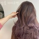 인천 부평동 미용실 살롱 지이유엔 가격 위치