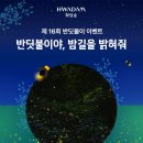 화담숲 반딧불이 축제 후기 주차 예약 유의사항 아이랑 신비로운 여름밤 만끽