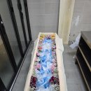 춘천장례식장 | 남양주 원병원장례식장에서 어머님을 보내드렸습니다