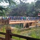 의림지-06 이미지