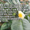 호산나 이미지