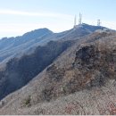 팔공산 하늘정원 이미지