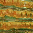 세계에서 가장 놀라운 두바이 금 시장-Dubai Gold Souk 이미지