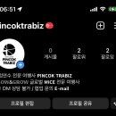 핀콕트래비즈