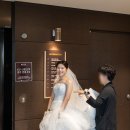 더네이처 | [본식스냅] 더베뉴지 네이처홀 : 랑이스냅 후기