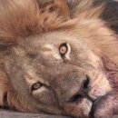 매드PC방 이미지