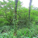 경승목장 이미지