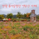 영월 동서강정원 연당원 카페