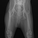 디디메디칼 이미지