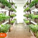 참빛유치원 네이버블로그