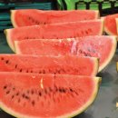 아름다운 원로의 날 (첫번째) 이미지