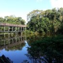 꾸리찌바 이미지