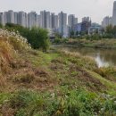 대장부동산2공인중개사사무소 이미지