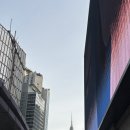 현대상가 | 남대문 그릇 도매상가 방문 구매 I 현대기물 박그릇 후기! 신혼부부 혼수 예쁜 그릇추천🍽️