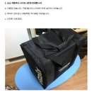 바디카 이미지