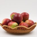 당골딸기 영농조합법인 | 딱딱이 복숭아 끝판왕 딸기엄마 김달순 신비복숭아 1kg 먹고 정착한 이유