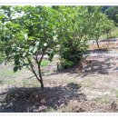 남평농장 이미지