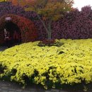 초락2리경로당 이미지