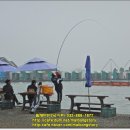 말봉바다낚시터 이미지