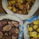 옥터농장 이미지