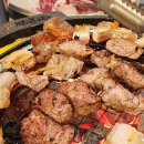 홍천집 | 홍천 고기집 마포갈매기 후기, 돼지모듬한판 푸짐하게 즐긴 홍천 고기 맛집