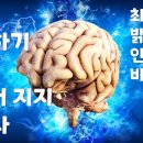 뇌는 생각이 아닌 이것을 위해 만들어졌다. 생존 뇌 진화의 비밀 이미지