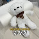 호매실주유소 | [수원 왁싱]수원 브라질리언왁싱 슈가릿✨ 첫방문 할인으로 4만원대 가능!&#34;슈가릿&#34; 후기 | 솔직후기
