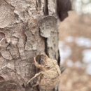 여강길(10코스 천년도자길) 이미지