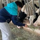 유대목장 이미지