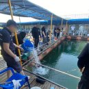 황금좌대 이미지