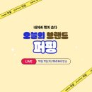 라이브펫 이미지