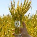 구포이음 도시재생사업 이미지