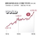 콩알이네