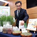 세종사료 이미지